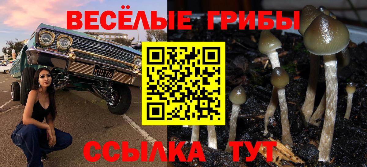 Псилоцибиновые грибы Cubensis Елизово