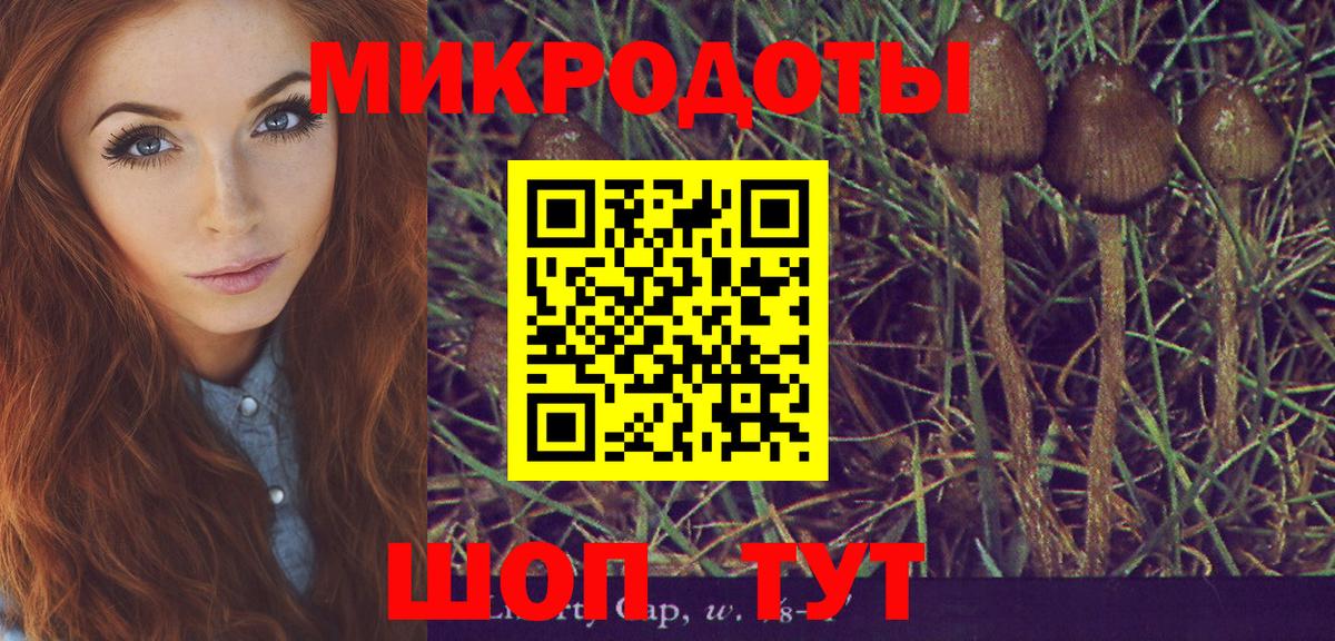 Галлюциногенные грибы мицелий  Вход с VPN  Елизово 