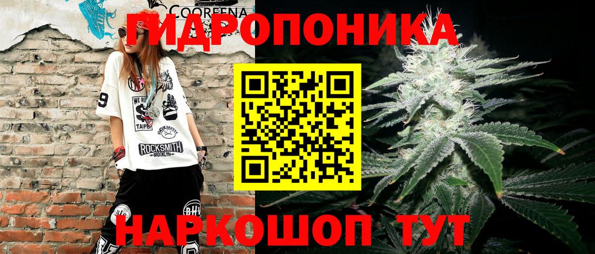 МАРИХУАНА план Елизово
